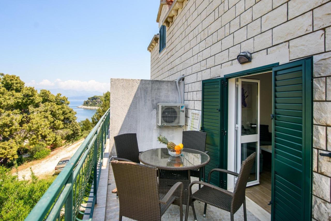 Accomodation Stermasi Maranovici Exterior photo