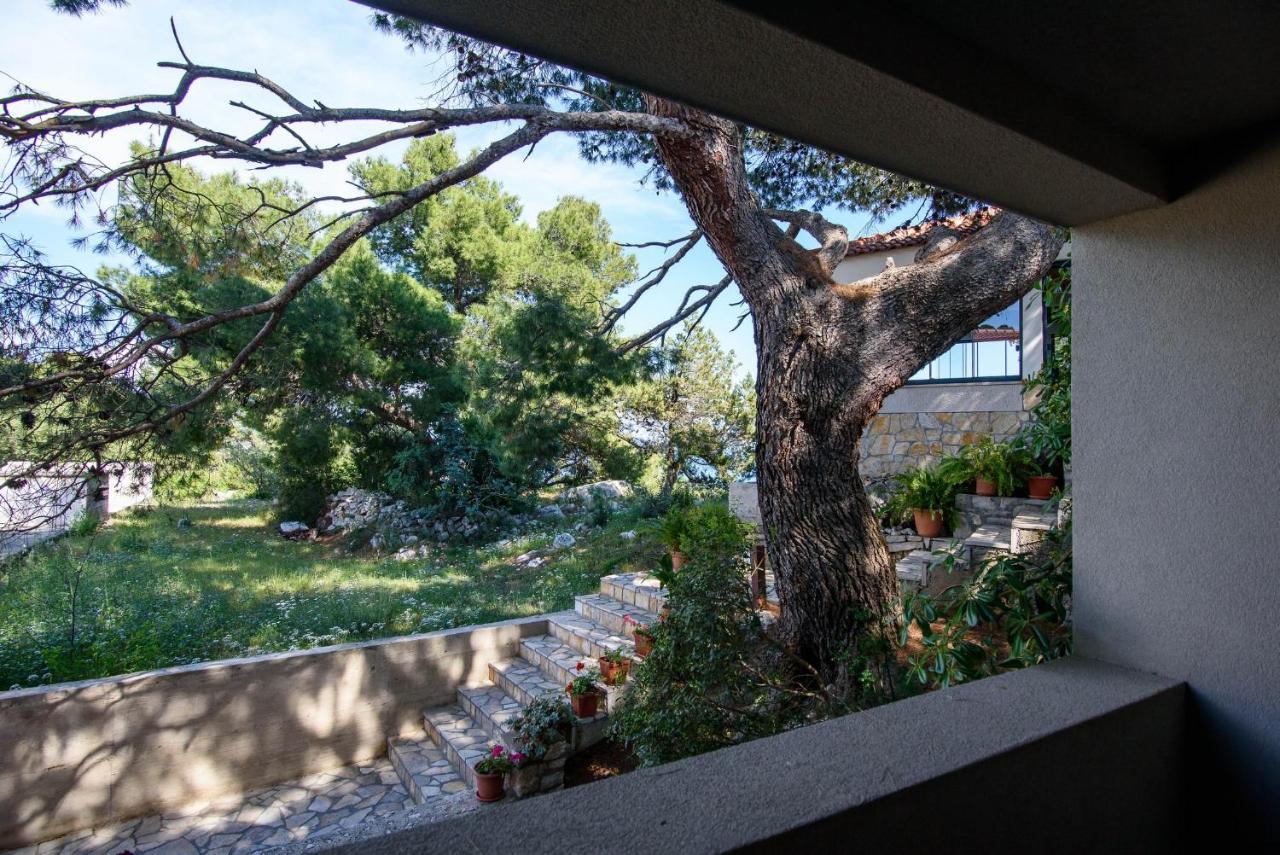 Accomodation Stermasi Maranovici Exterior photo