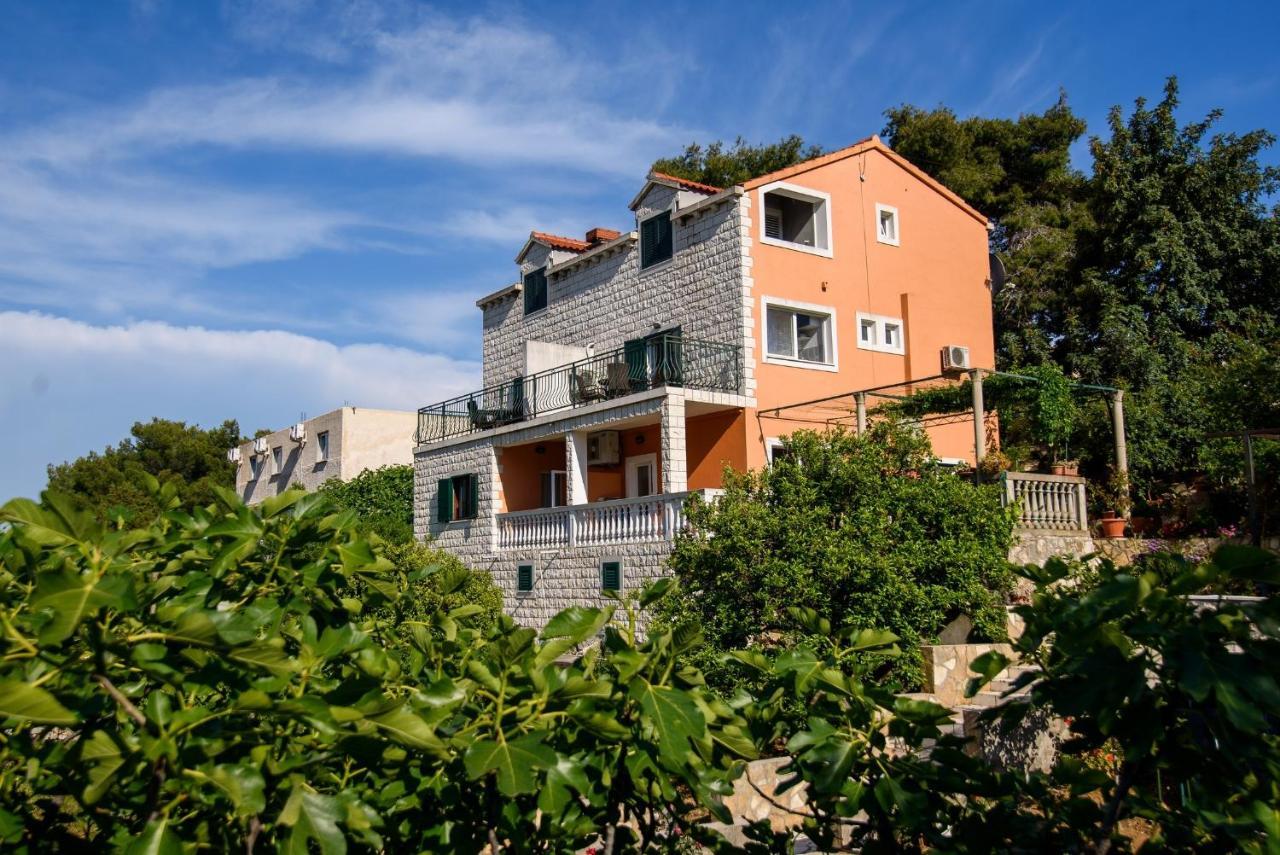 Accomodation Stermasi Maranovici Exterior photo