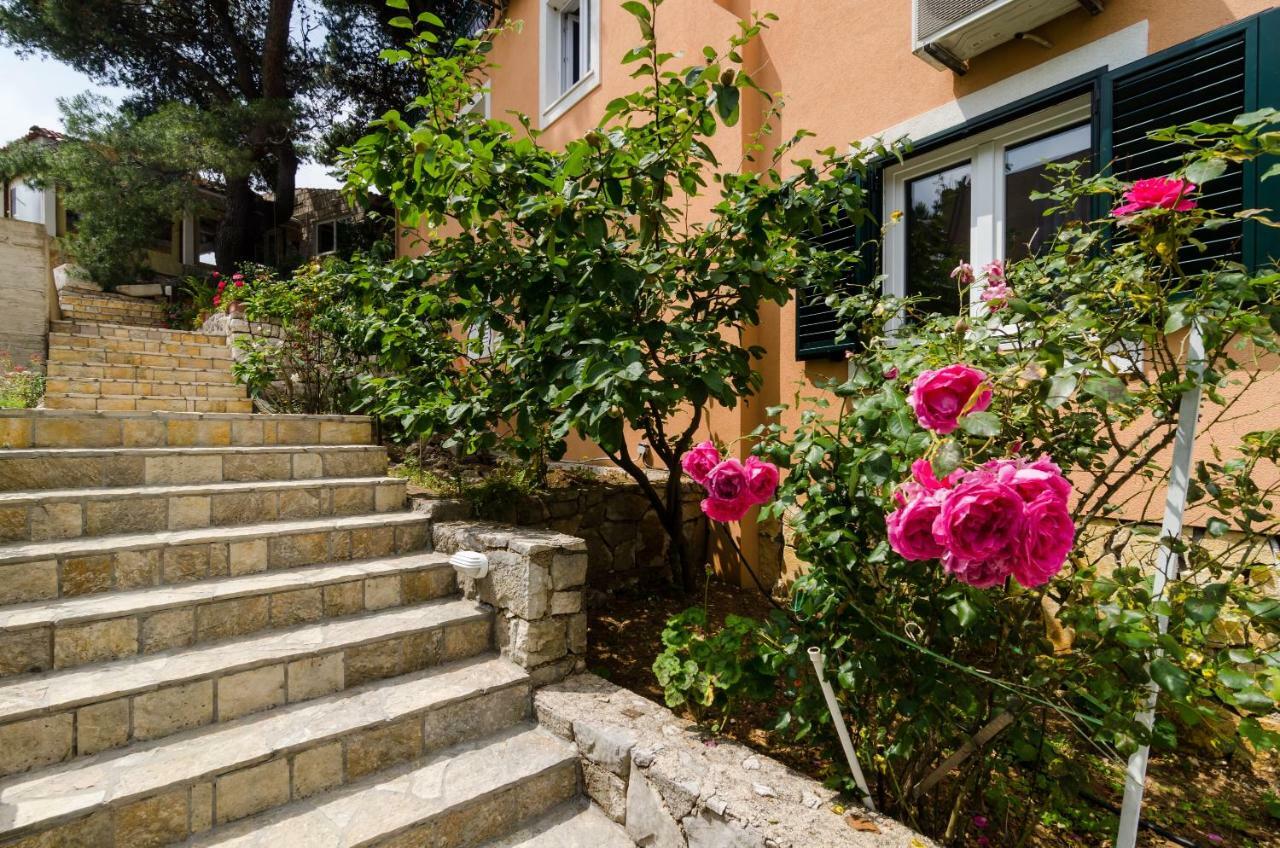 Accomodation Stermasi Maranovici Exterior photo